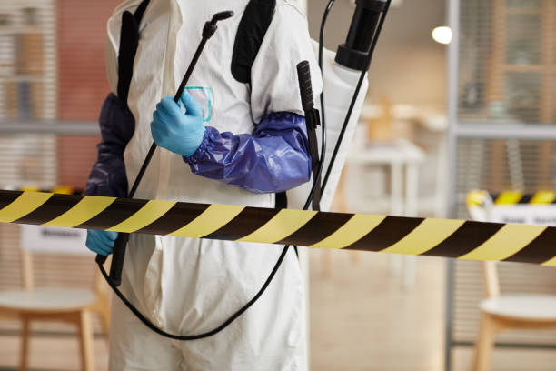 Professional Sewage Cleanup technician working in Sugarloaf, CA